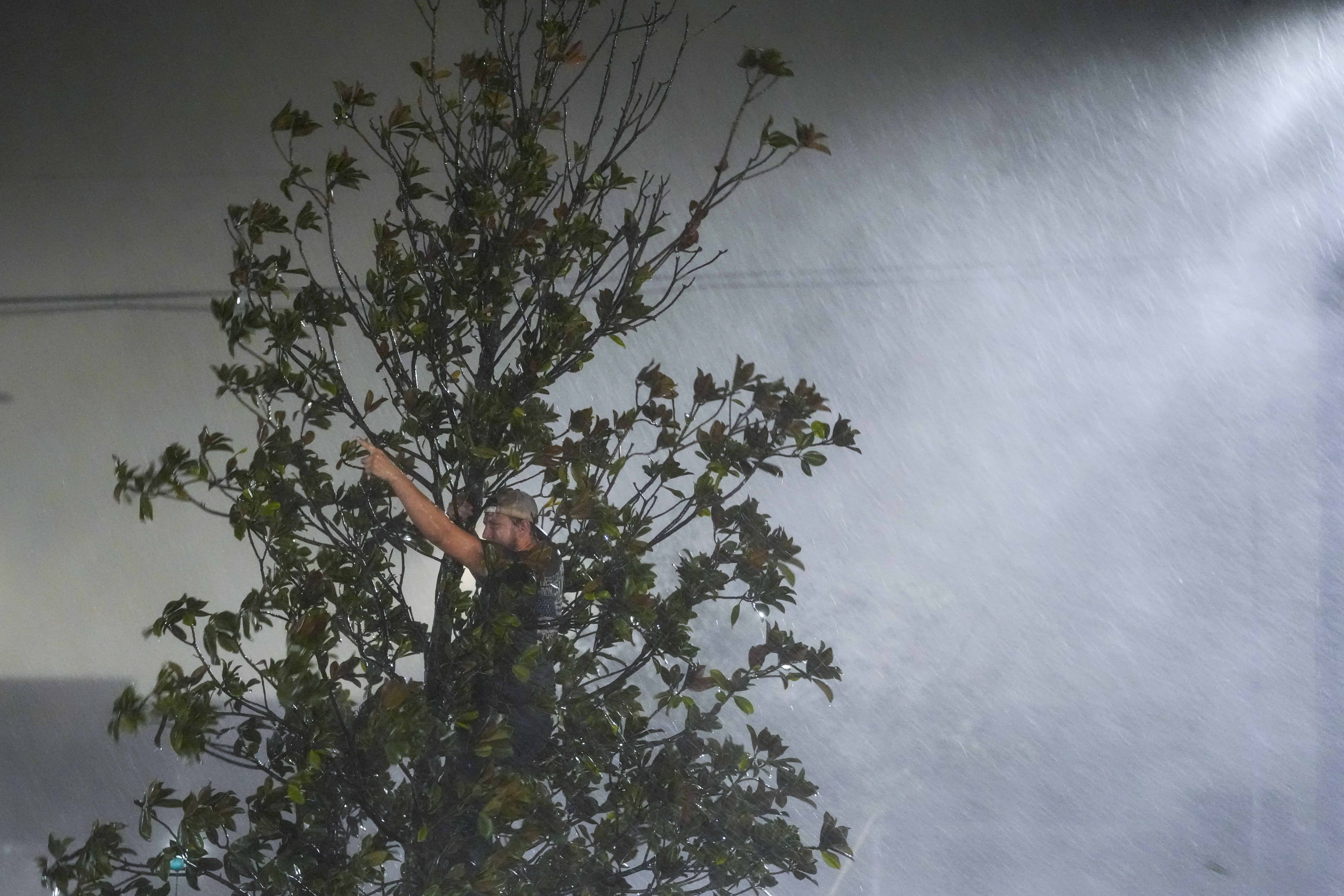 Chris Nation, de Commerce, Georgia, sube a un árbol y hace gestos mientras pasa el rato con sus compañeros de trabajo afuera del hotel donde están pasando por el huracán Milton, el miércoles 9 de octubre de 2024, en Tampa, Florida. Nation, quien trabaja para una grúa La compañía, fue enviada con colegas a Florida para ayudar después de la tormenta.