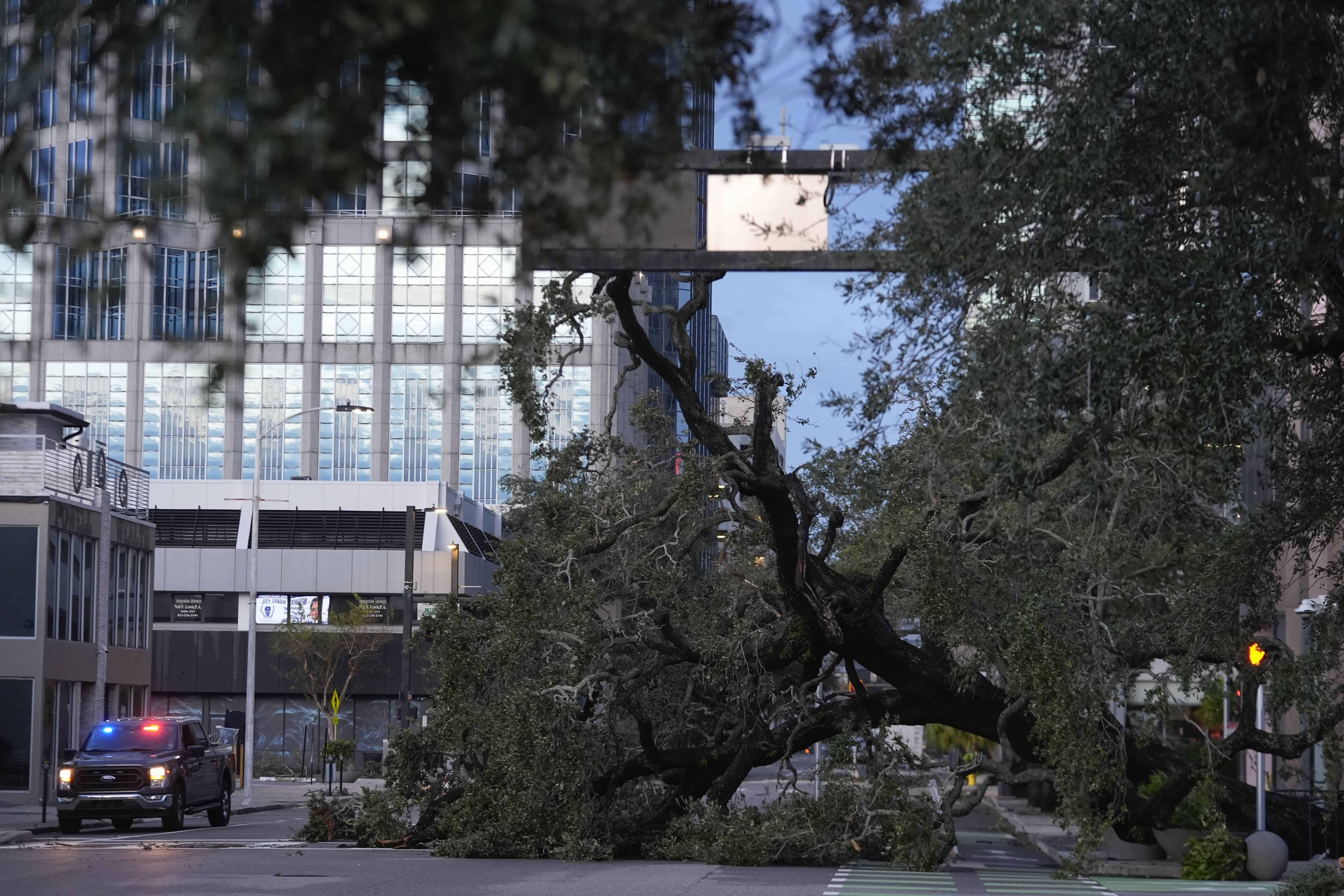 Un árbol caído se encuentra al otro lado de una carretera después del paso del huracán Milton, en el centro de Tampa, Florida, el jueves 10 de octubre de 2024.
