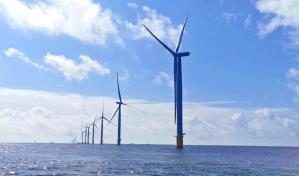 Con el argumento Salven a las ballenas, los detractores de la energía eólica crecen en las costas