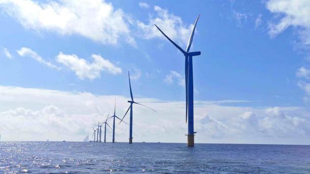 Con el argumento Salven a las ballenas, los detractores de la energía eólica crecen en las costas