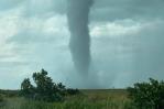 Tornados de giro rápido, la sorpresa mortal en Florida antes de que llegara Milton Tornados de giro rápido, la sorpresa mortal en Florida antes de que llegara Milton