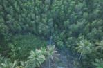 Afectan de nuevo manglar en el norte de Samaná