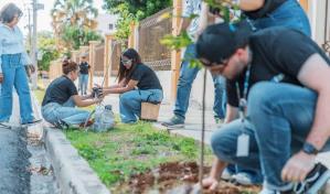 Alcaldía del Distrito Nacional desarrolla Plan de Arbolado Urbano en la Zona Universitaria