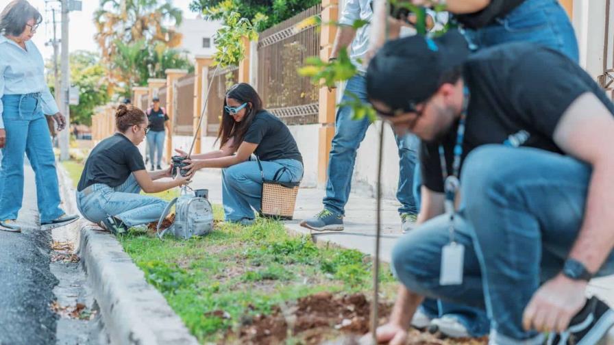 Alcaldía del Distrito Nacional desarrolla Plan de Arbolado Urbano en la Zona Universitaria