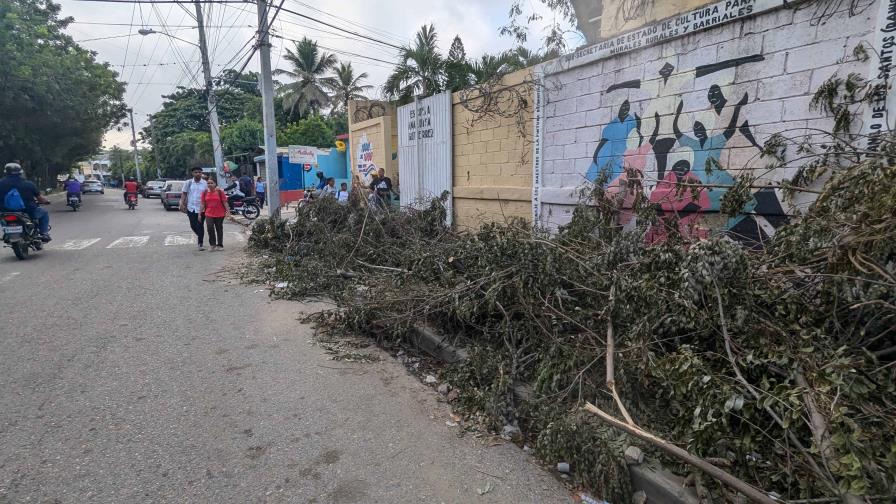 Denuncian escombros de árboles frente a una escuela en Santiago