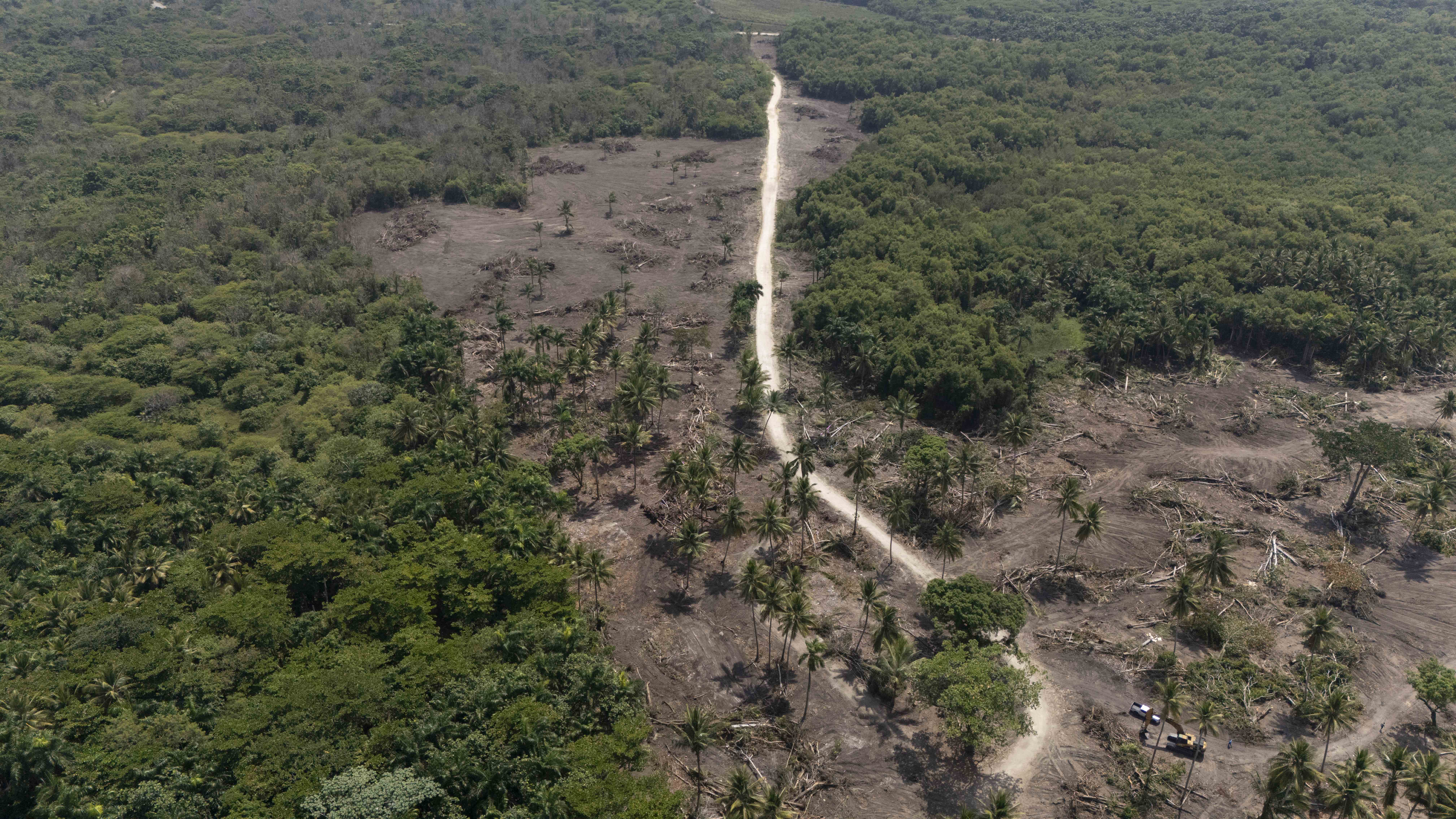 [object HTMLTextAreaElement]