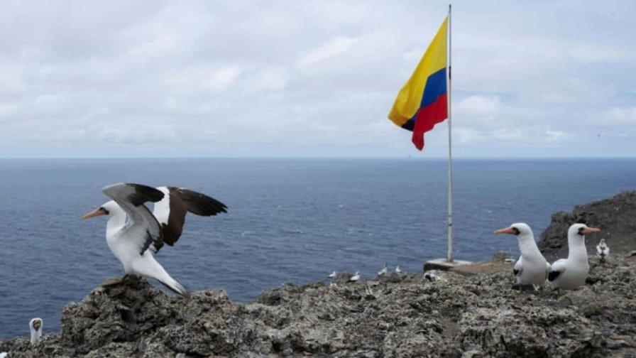 A pesar de la controversia, la idea de los créditos de biodiversidad se abre paso