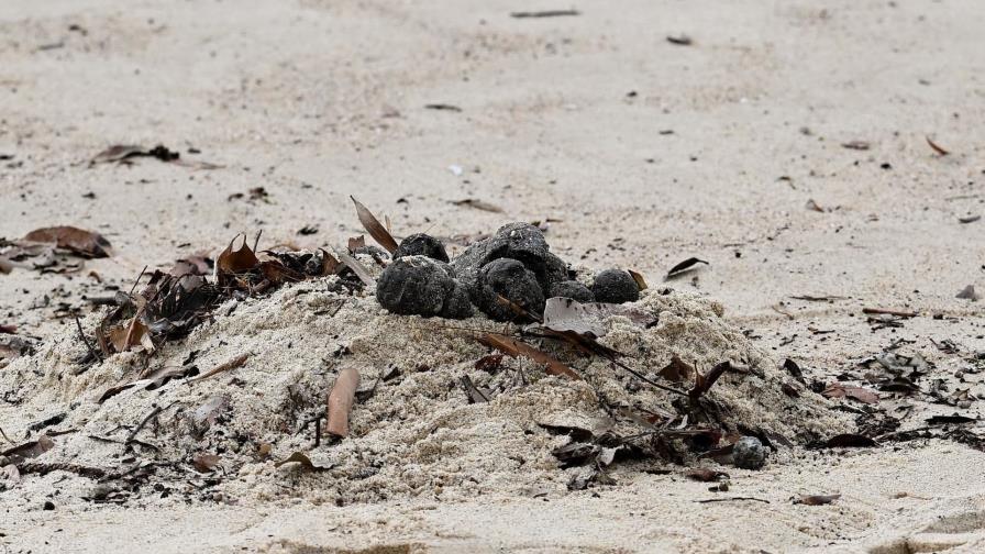 Cierran dos playas de Sídney al aparecer miles de misteriosas bolas negras de alquitrán