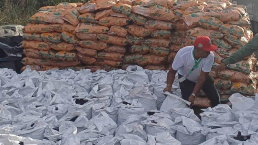 Autoridades incautan 1,200 sacos de carbón vegetal en Azua