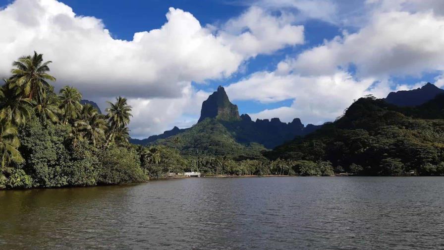 Islas: un tesoro de biodiversidad que alberga el 31% de todas las plantas de la Tierra