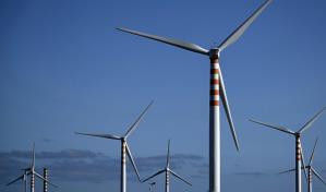 Las soluciones contra el cambio climático a veces no son las mejores para la biodiversidad