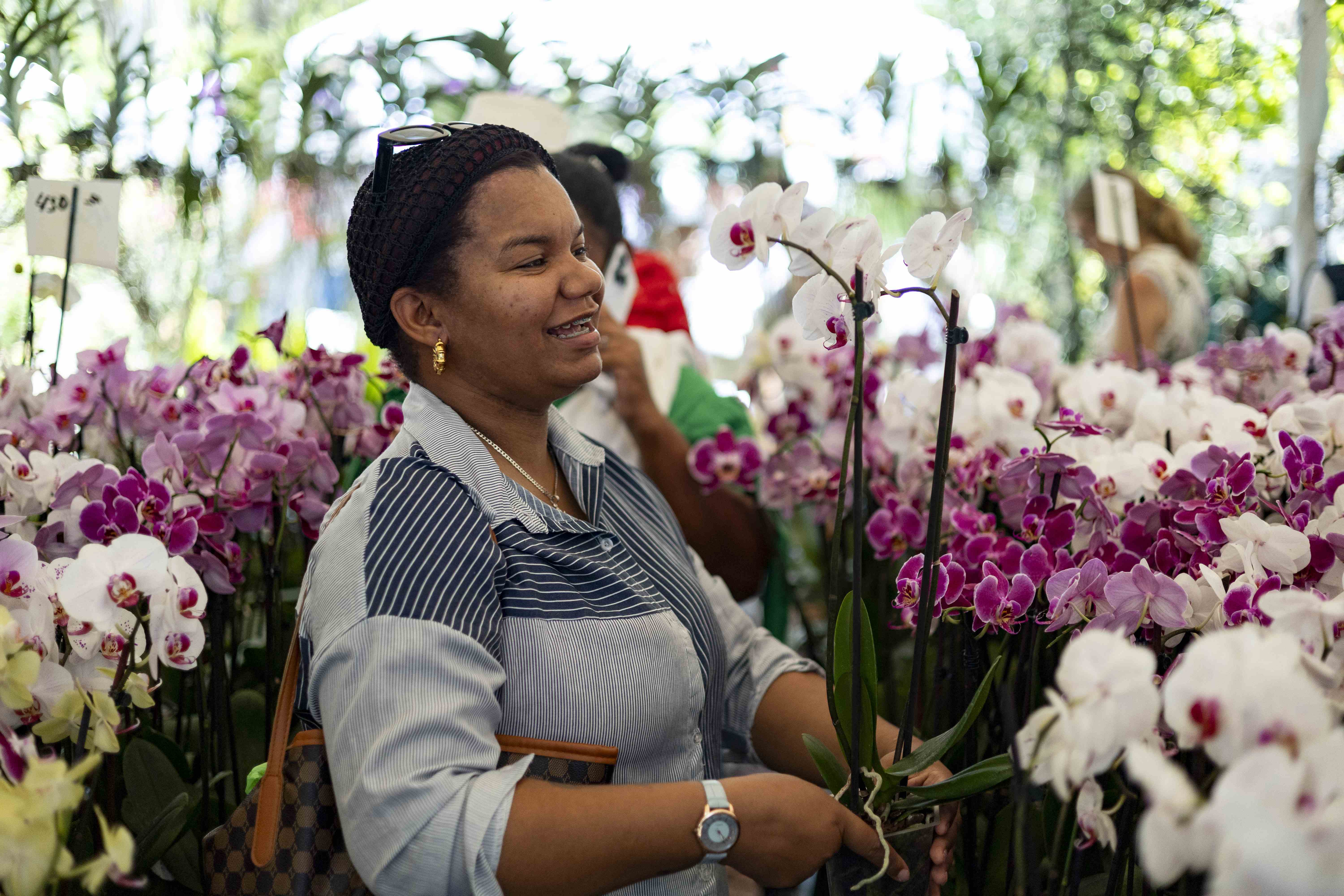 Las orquideas son las favoritas de muchos visitantes. 