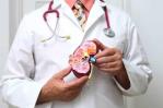 ¿Cómo afecta la hipertensión arterial la función de los riñones?