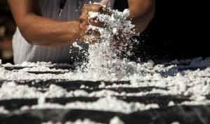 ¿Por qué gustan tanto los carbohidratos? La respuesta podría estar en el ADN antiguo