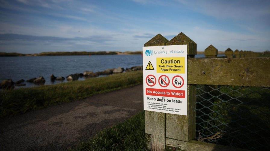 Un brote de algas tóxicas obliga al cierre de un lago cerca de Liverpool