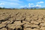 Gobierno y agencias de la ONU buscan reforzar estrategias contra la sequía en RD