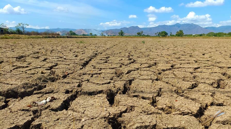 RD y Centroamérica han invertido casi 14 millones de dólares en el corredor seco y zonas áridas