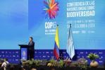 La COP16 arranca en Colombia con llamamiento a una inversión significativa por la biodiversidad La COP16 arranca en Colombia con llamamiento a una inversión significativa por la biodiversidad