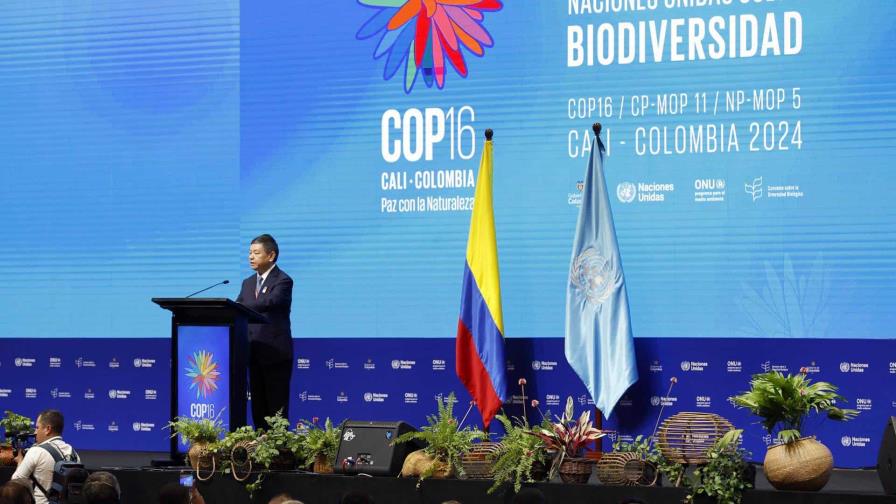 La COP16 arranca en Colombia con llamamiento a una inversión significativa por la biodiversidad