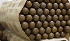 Con nuevas naves tabacaleras, Proindustria amplia producción en San Juan de la Maguana