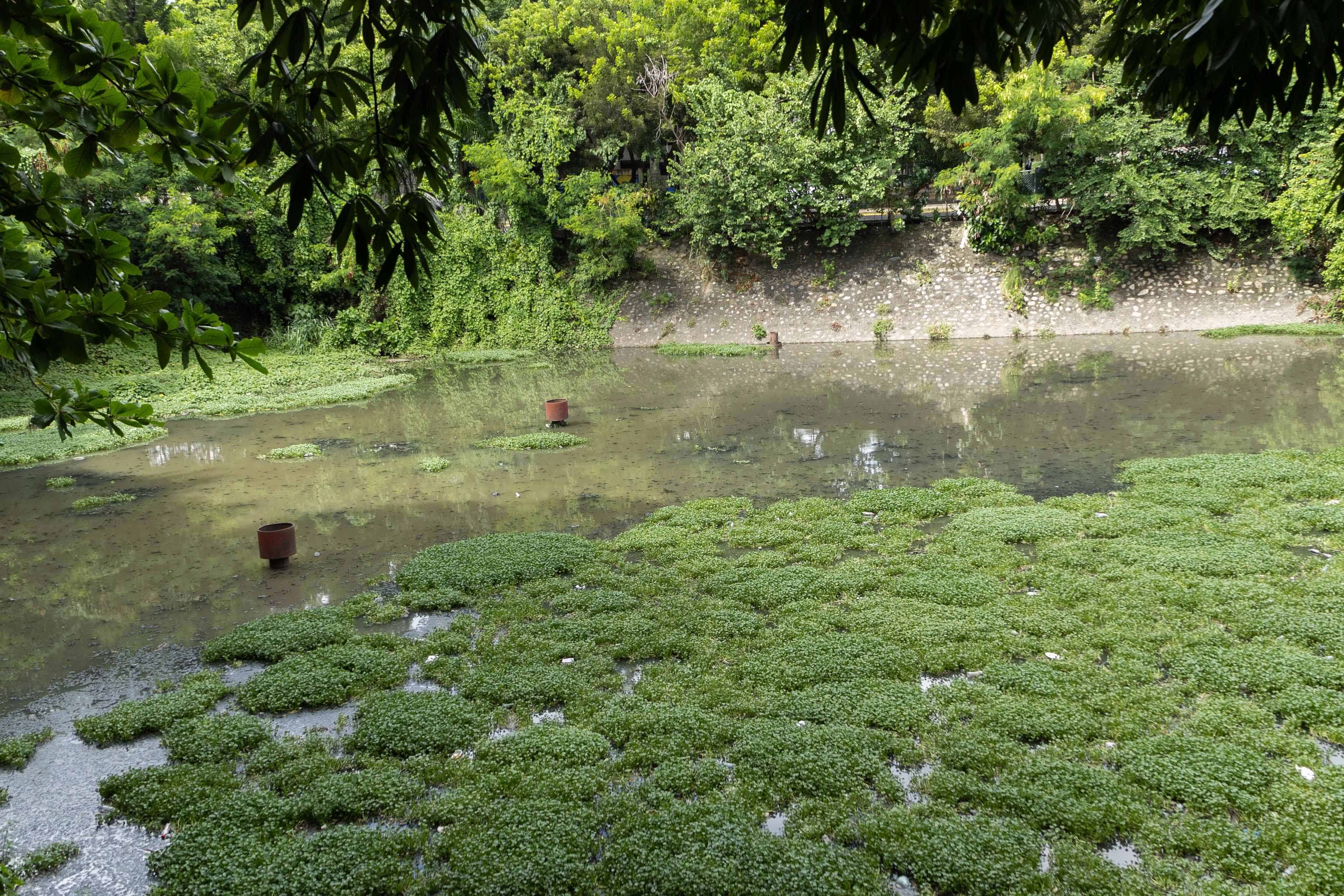 Laguna usada como sistema de drenaje pluvial.