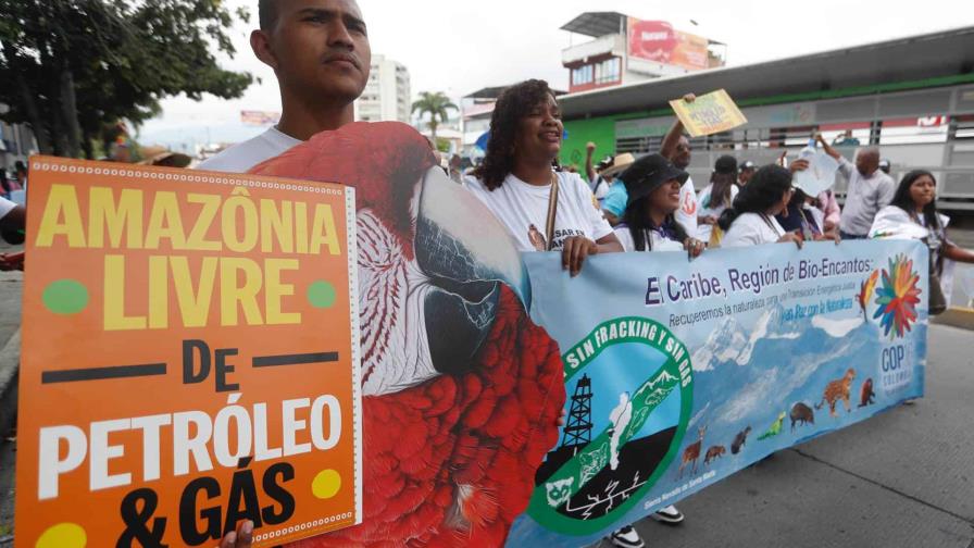 Indígenas y activistas marchan en Cali para exigir compromisos serios en la COP16