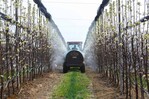 El declive de los insectos a causa de los agroqu&iacute;micos amenaza la salud del planeta