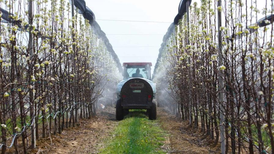 El declive de los insectos a causa de los agroquímicos amenaza la salud del planeta