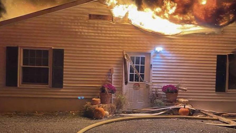 Mueren más de 40 perros en incendio en refugio de una organización de rescate en Nueva York