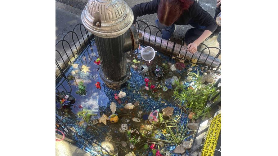 Adiós al improvisado estanque de peces de colores bajo un hidrante contra incendios en Brooklyn