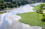 No basta con recoger las lilas del río Ozama