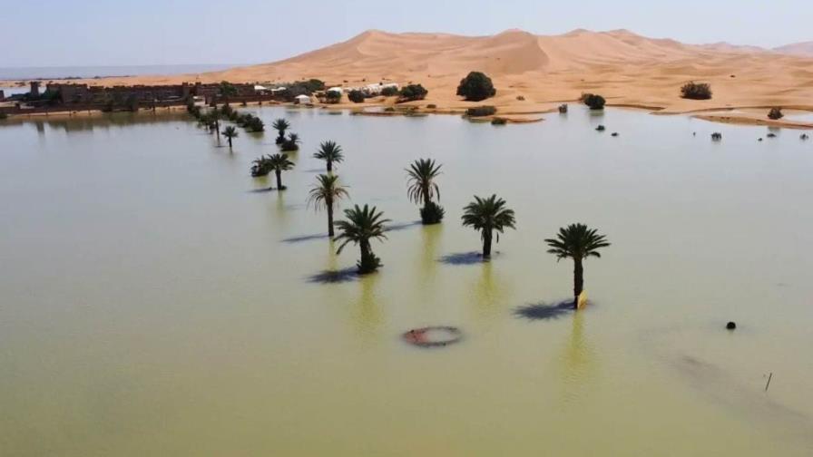 Lluvias torrenciales devuelven la vida al desierto del Sáhara en Marruecos