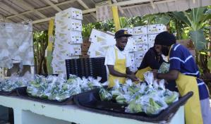 Deportación de haitianos afecta la agropecuaria y la construcción en el Cibao