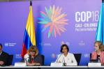 COP16 en Cali: Una primera semana a la espera de compromisos para la biodiversidad COP16 en Cali: Una primera semana a la espera de compromisos para la biodiversidad