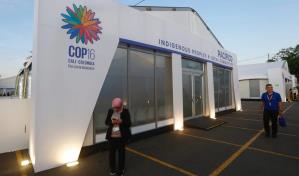 Comienza en la COP16 un desinflado segmento de alto nivel de toma de decisiones finales