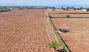 El Ministerio de Agricultura prepara 7,900 tareas de tierras gratis a productores en Puerto Plata