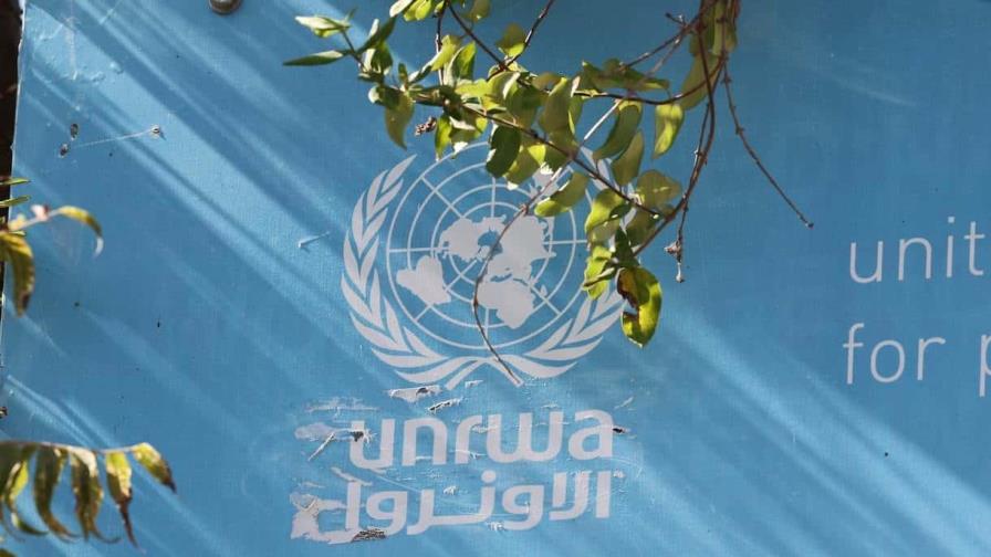 Organización de la ONU para las Migraciones: No podemos sustituir a la UNRWA en Gaza