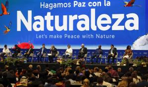 Tensión en cierre de COP16 por debates sobre financiamiento; RD resalta avances Tensión en cierre de COP16 por debates sobre financiamiento; RD resalta avances