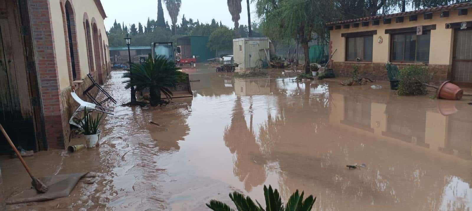 Imagen de Catarroja, Valencia, el viernes 1 de noviembre. 