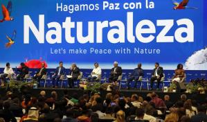 La COP16 finaliza con unas negociaciones empantanadas que podrían alargar decisión final
