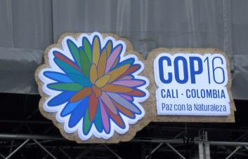 Las negociaciones de la COP16 se alargarán hasta la madrugada por falta de consenso