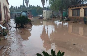 Nos salvamos de chepa, dominicanos cuentan cómo sortearon las inundaciones en Valencia