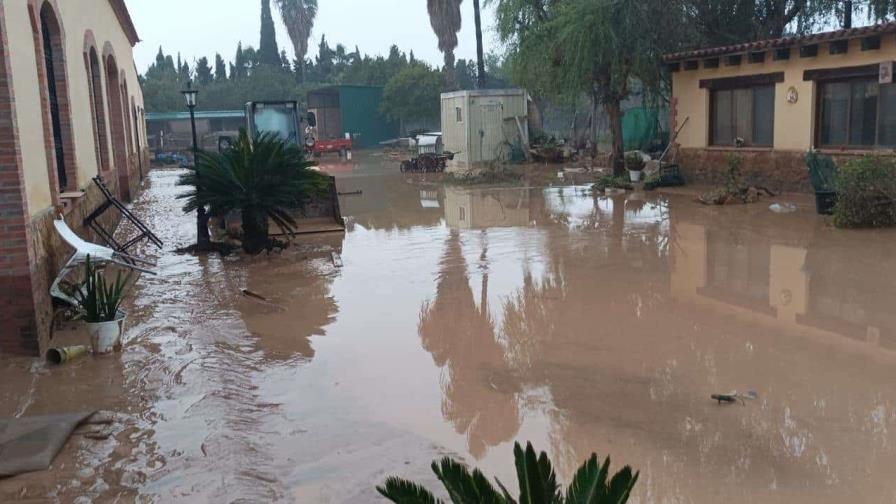 Nos salvamos de chepa, dominicanos cuentan cómo sortearon las inundaciones en Valencia