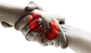 República Dominicana está preparada para la recolección y trasplante de órganos, pero...