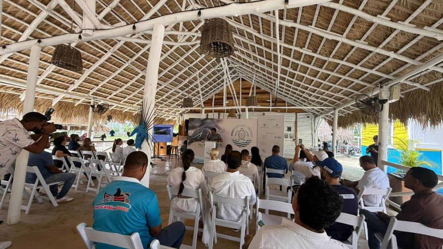 Concluye la segunda temporada de conservación de tortugas marinas en Miches