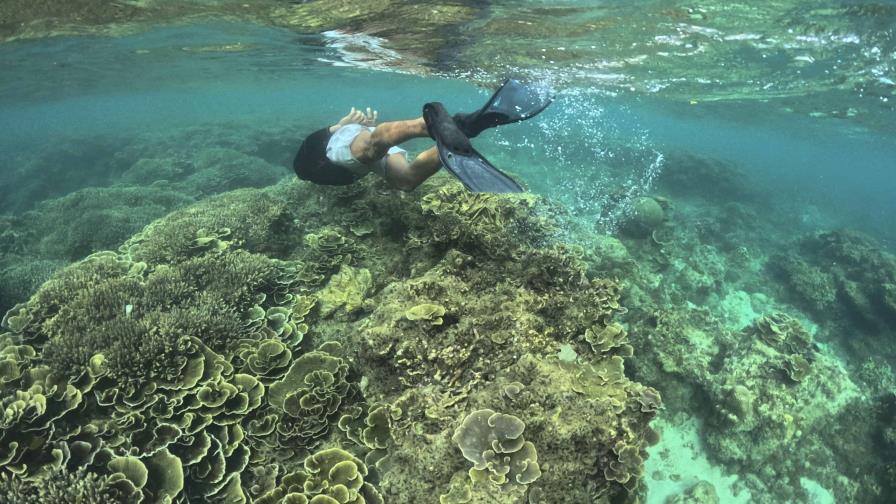 La COP16 termina sin consenso sobre la financiación para salvar la naturaleza