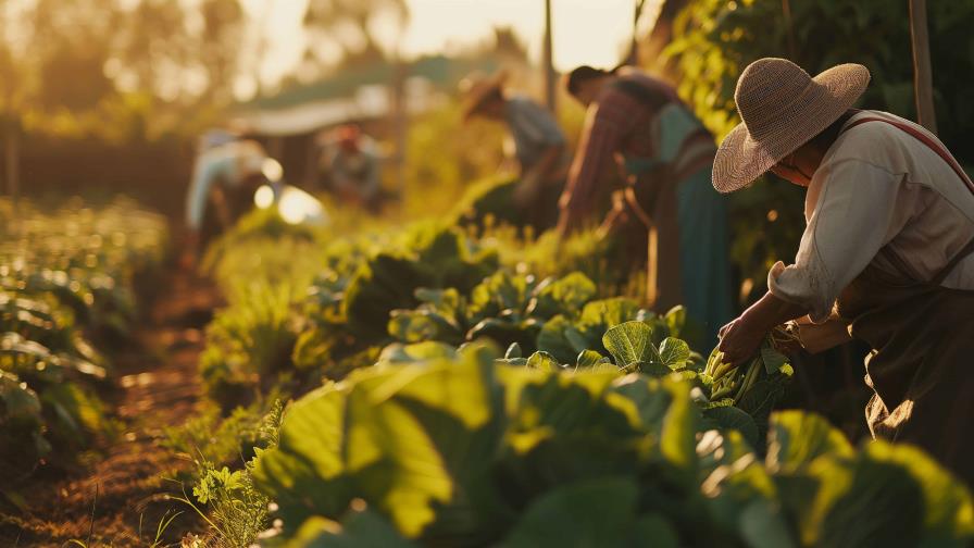 IICA destaca a la agricultura como sector clave para combatir la crisis climática