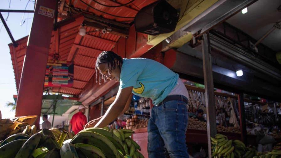 Los precios del plátano comienzan a bajar ante la sobreproducción