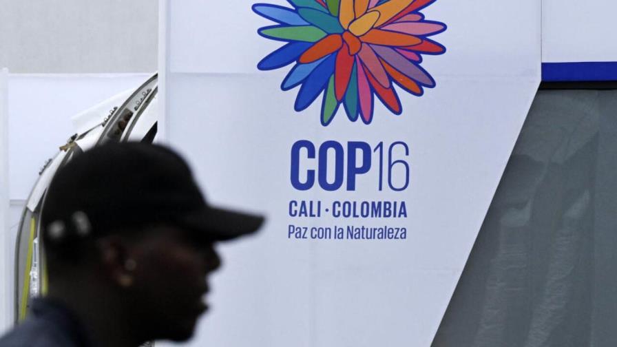 Termina la COP16 biodiversidad en Cali sin lograr un acuerdo sobre financiación