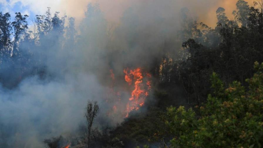 Ocho meses de cárcel para ecuatoriano por el peor incendio forestal en Quito